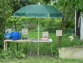 Obst- und Gemüseverkauf am Elberadweg