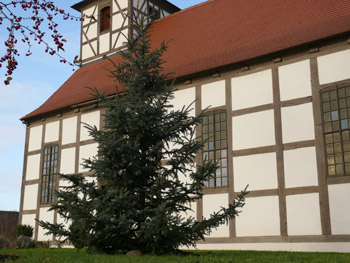 Weihnachtstanne an der Kirche