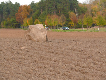 Steine auf dem Burgberg