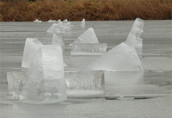 Eis an der Alten Fähre