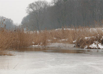 Eis auf der ALten Elbe