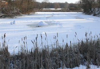 Schnee auf der Liesekuhle