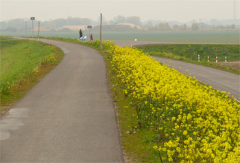 Deichweg am Umflutkanal bis nach Gübs