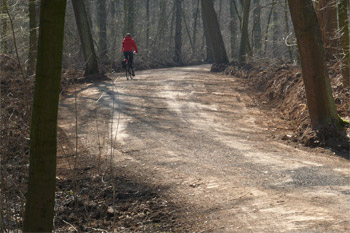 Waldweg im Nachtigallenstieg