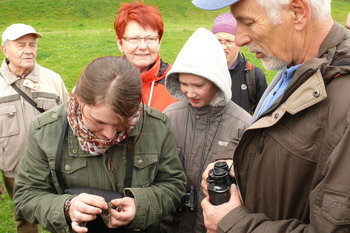 Gewölle auseinandernehmen