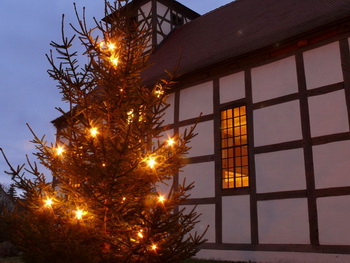 Weihnachtsbaum 2012