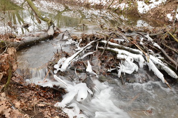 Stau im Landgraben