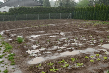 Wasser im Garten