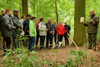 Friedwald Schönebeck Elbenau