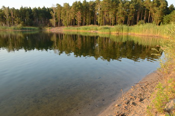 Wasser in der Sandgrube bei Plötzky