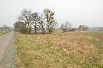 Wiese für das Osterfeuer