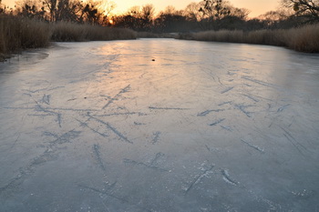 Eis auf der Alten Elbe