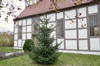 Weihnachtsbaum an der Kirche