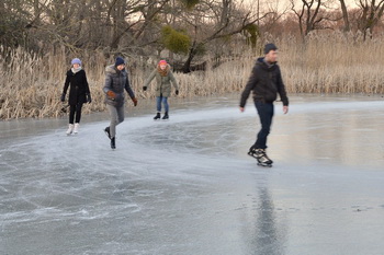 Eislaufen auf der Liesekuhle