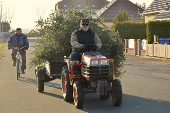 Trecker mit Weihnachtsbaum im Anhänger