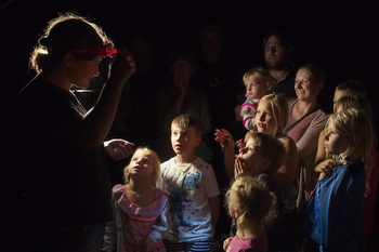 Fledermausnacht in Elbenau