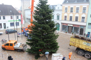 Weihnachtsbaum auf dem Markt in Schönebeck
