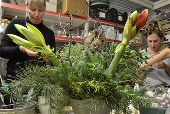 Adventsbasteln der Elbenauer Frauen