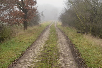 Straße an der Oskar-Bauer-Brücke