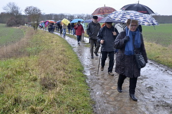 Grünkohlwanderung