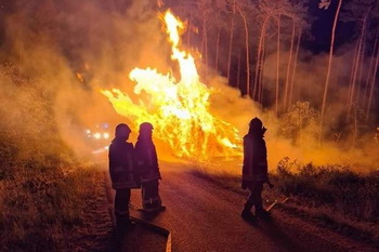 Feuerwehreinsatz im Wald