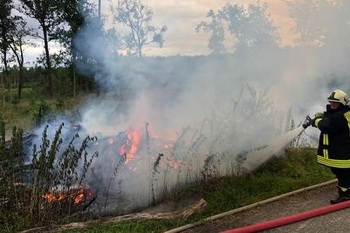 Feuerwehreinsatz im Wald, nach Brandstiftung