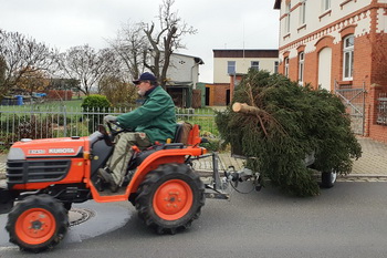 Weihnachtsbaum an der Elbenauer Kirche, Transport mit dem Trecker