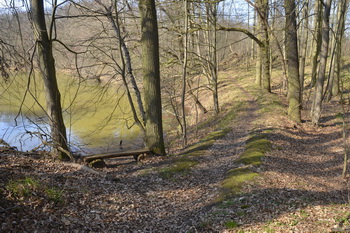 Der Wanderweg an der Alten Elbe
