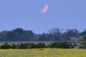 Mondfinsternis über dem Elbedeich