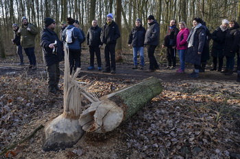 Foto von der Grünkohlwanderung