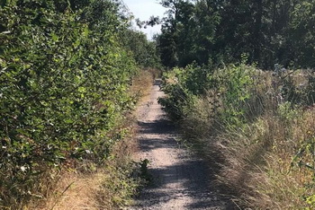 Radweg nach Grünewalde