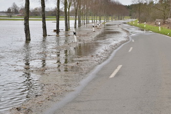 Straße zwischen Plötzky 