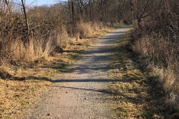 Radweg nach dem Freischneiden