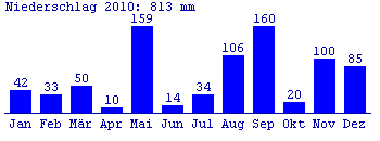 Niederschlag 2010