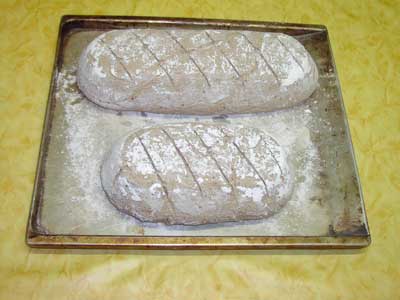 Brotlaibe auf dem Backblech